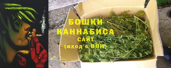 СК Алзамай